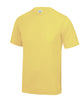 Sherbet Lemon 2XL
