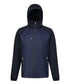 Navy/Seal 3XL