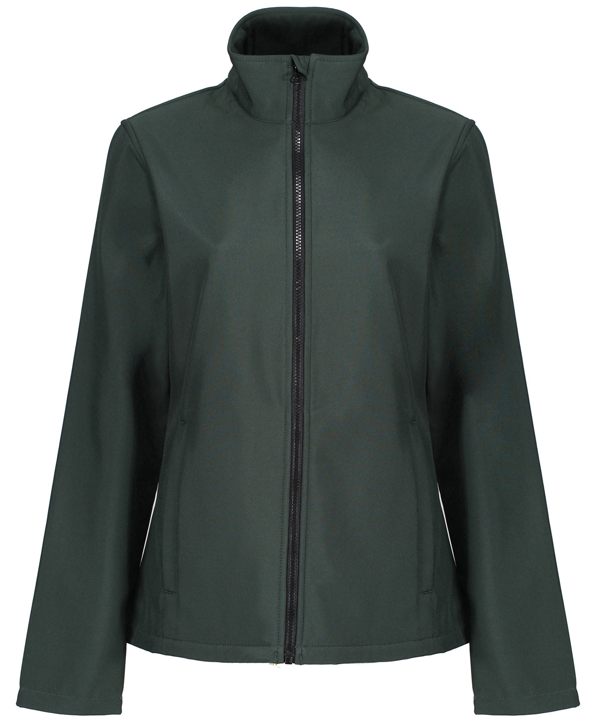 Dark Spruce 20