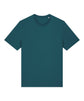 Stargazer 5XL